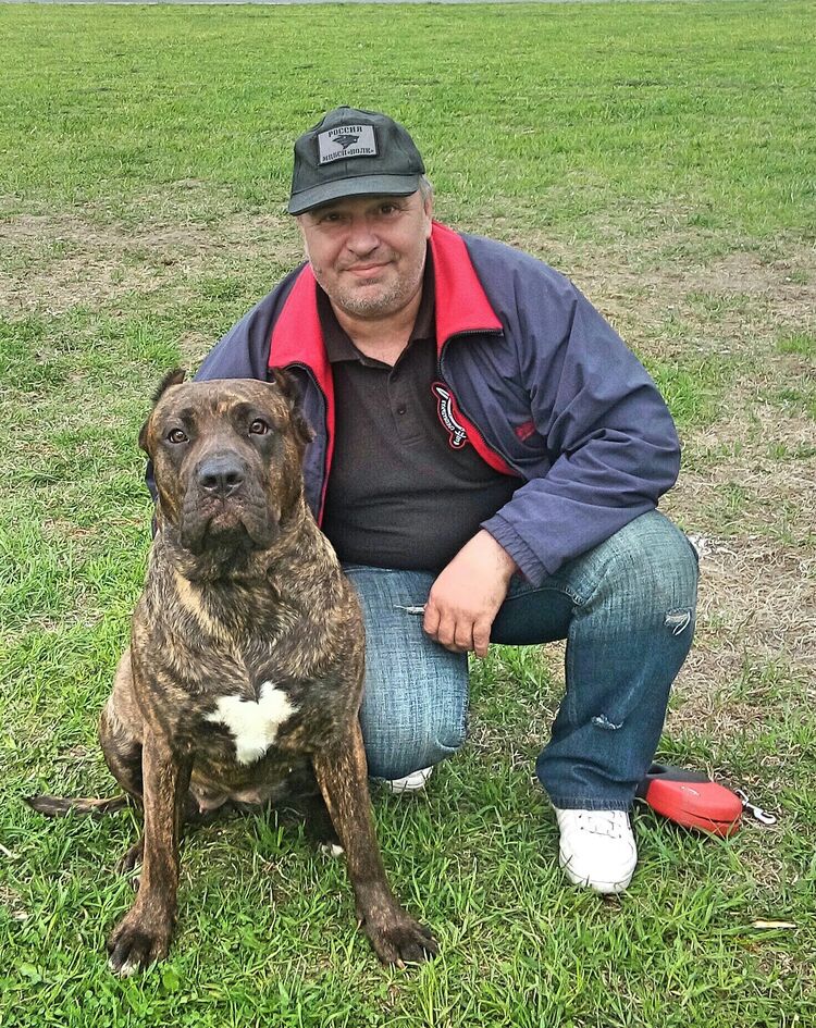 ���������� �����-���������, ���� ������� �����, 48 ���, ������������ ��� ����� � ���������, c�������� ���������