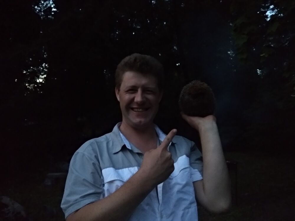  16280848  , 49 ,    -