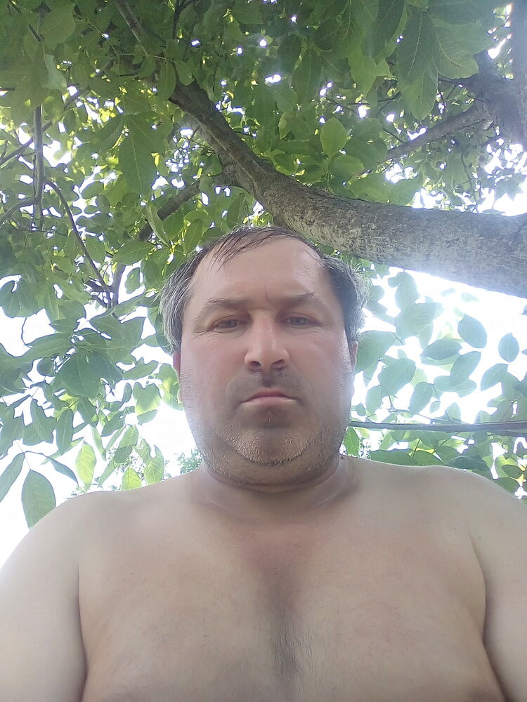  23295918  , 46 ,    