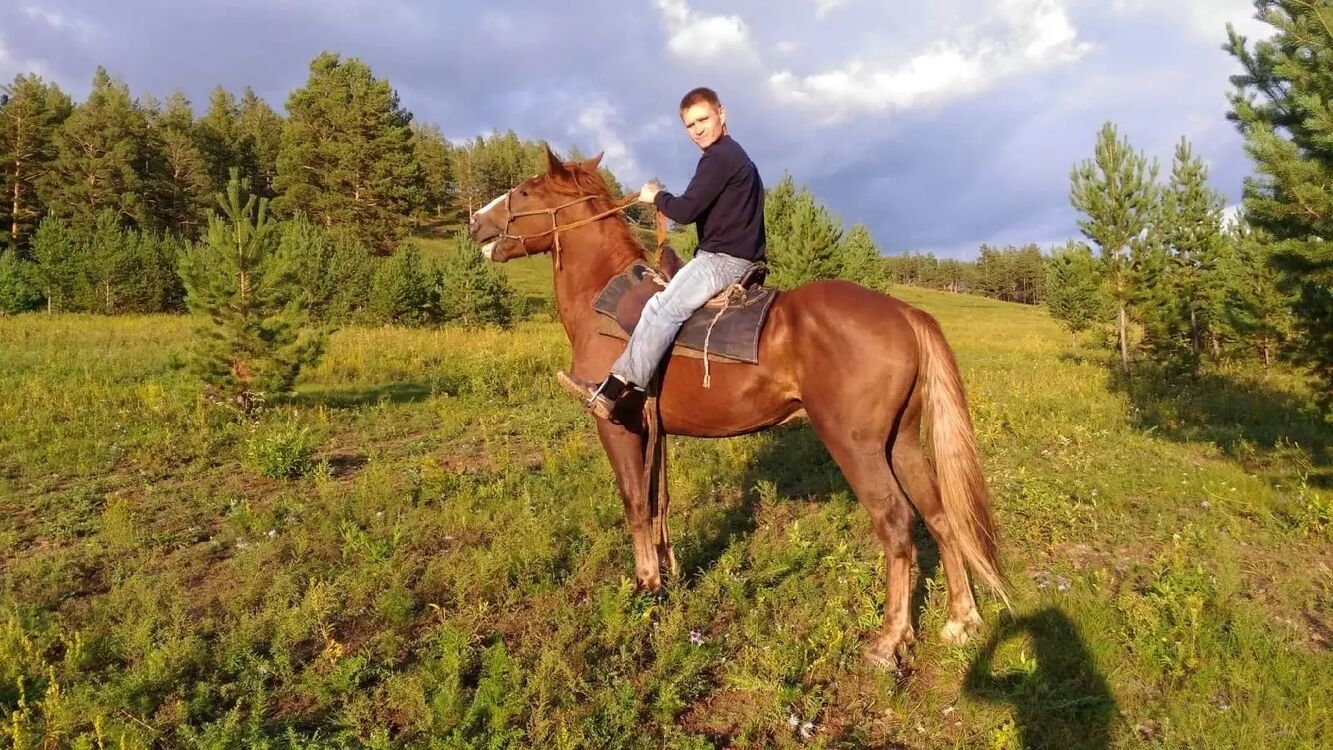 ���������� �������, ���� ������� �������, 41 ���, ������������ ��� ������, ����� � ���������, c�������� ���������, ���������