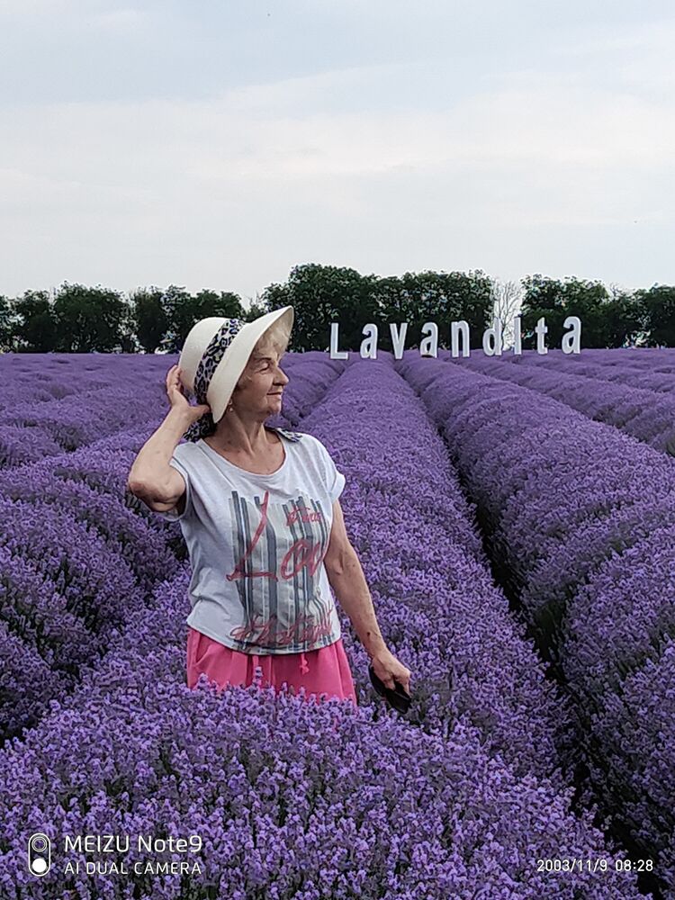 ���������� ���������, ���� ������� ���������, 81 ���, ������������ ��� ������, ����� � ���������