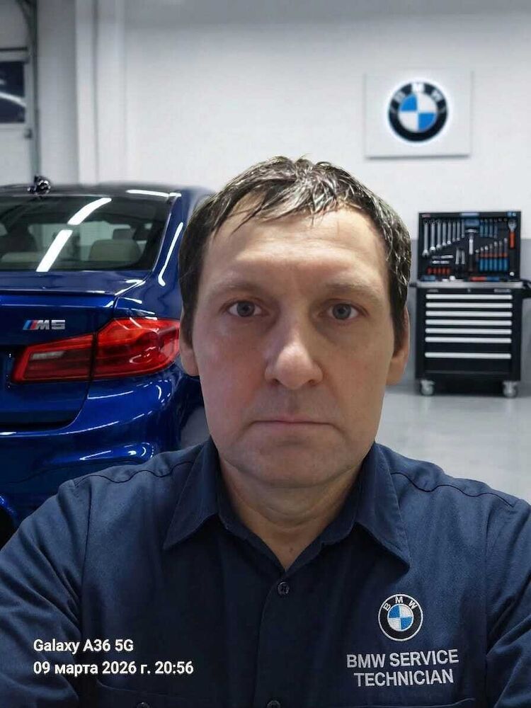 ���� 56084008 ������� �������, 43 ����, ���� ���������� � �����������