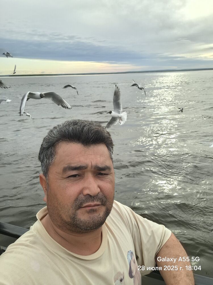  52864728  Zahar, 39 ,    