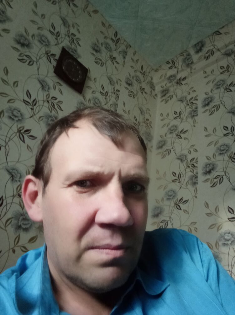  53809838  , 45 ,    