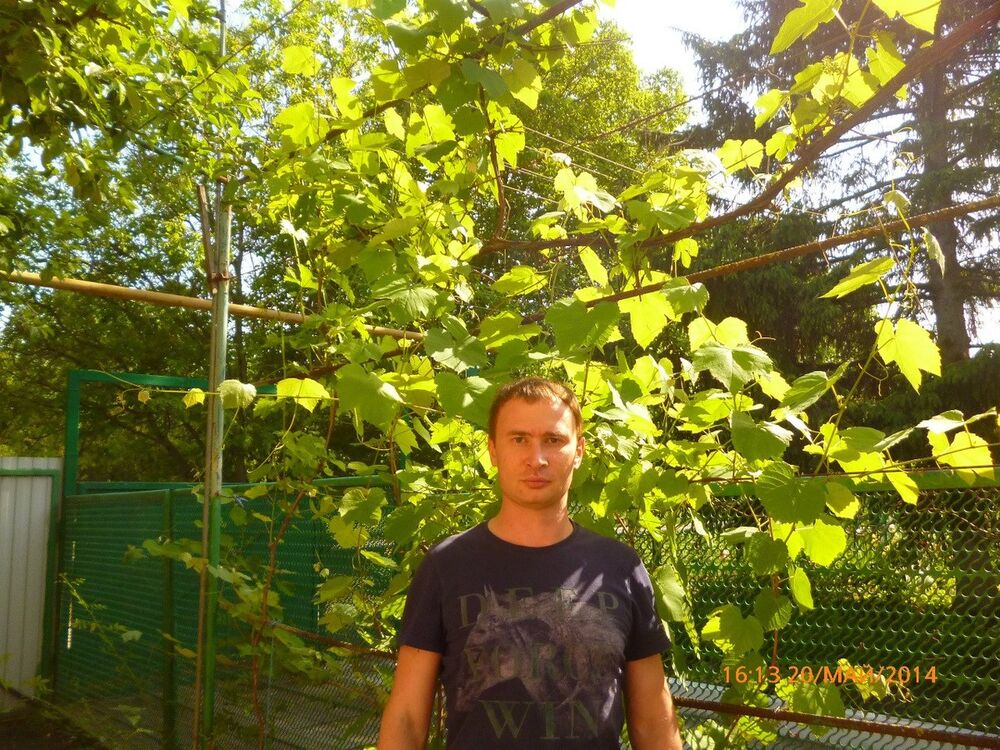 ���������� ����, ���� ������� ����, 41 ���, ������������ ��� ������, ����� � ���������, c�������� ���������