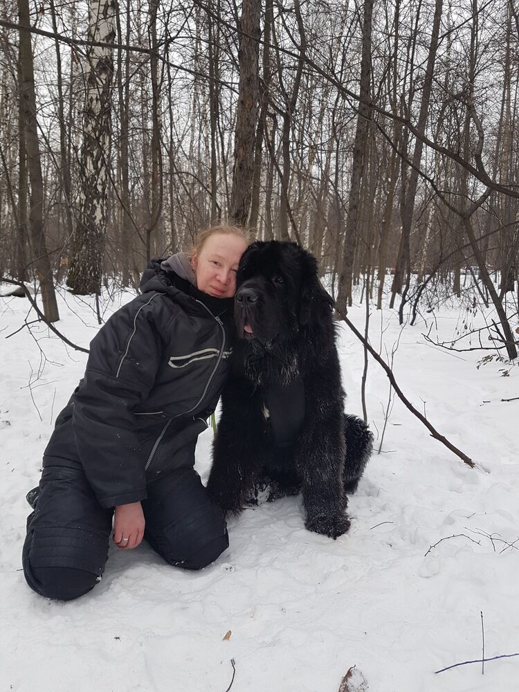 ���� 24579518 ������� ������, 44 ����, ���� ���������� � ������