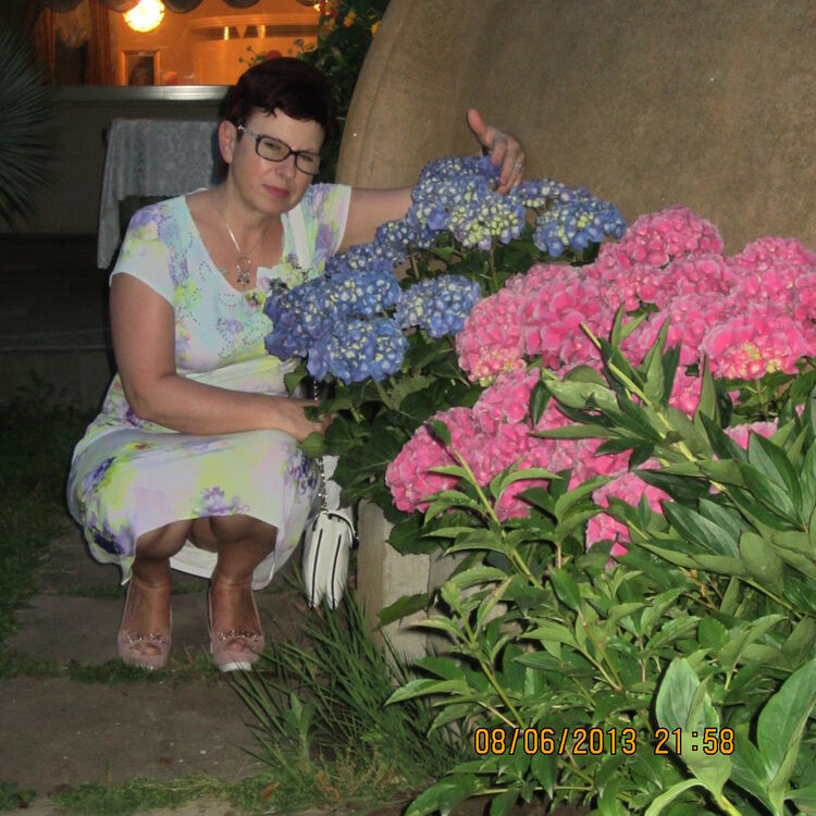  ,   , 65 ,   ,   , c 