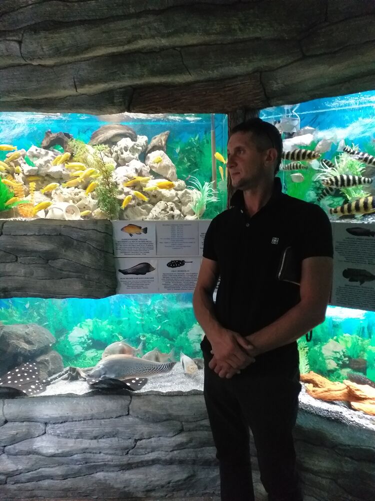 ���� 42876188 ������� �������, 40 ���, ���� ���������� � �����������