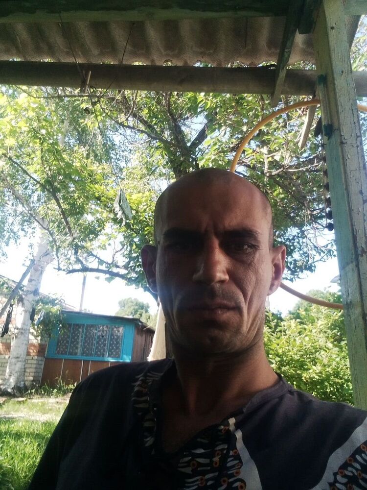  35309538  , 37 ,    