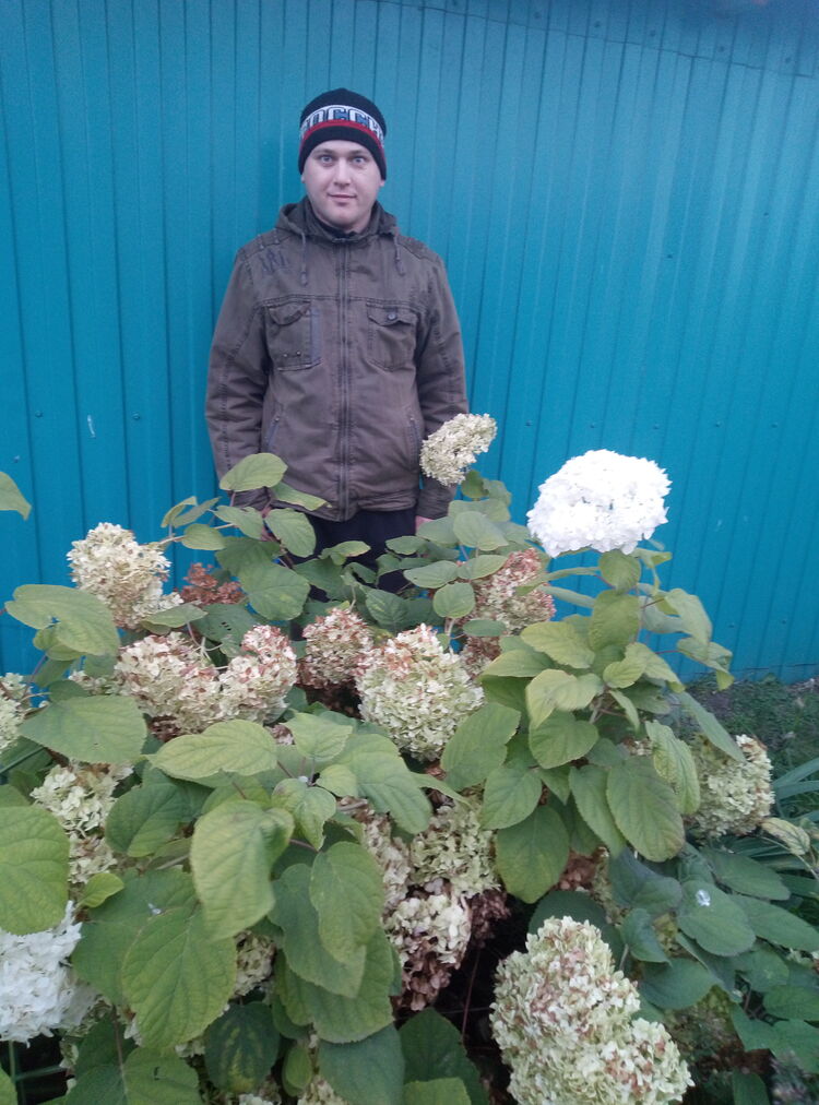 ���� 24747558 ������� ��������, 36 ���, ���� ���������� � ��������