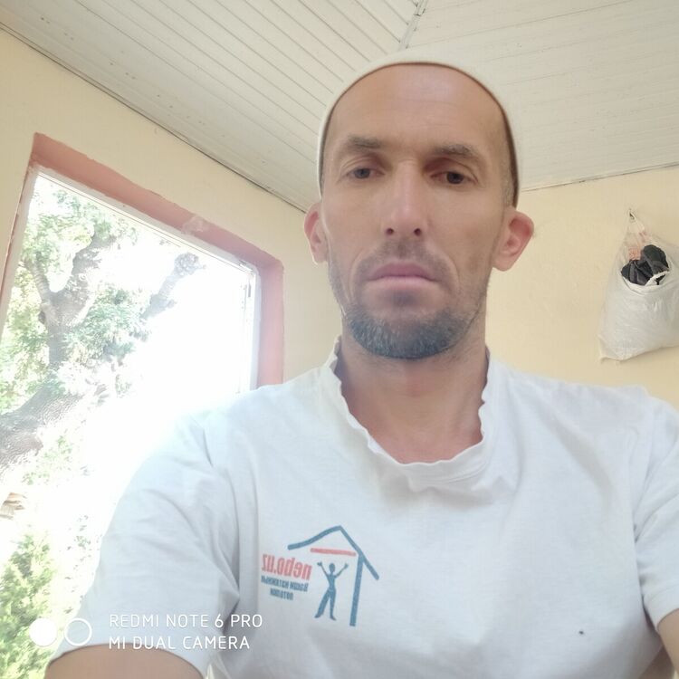  20506968  , 43 ,    
