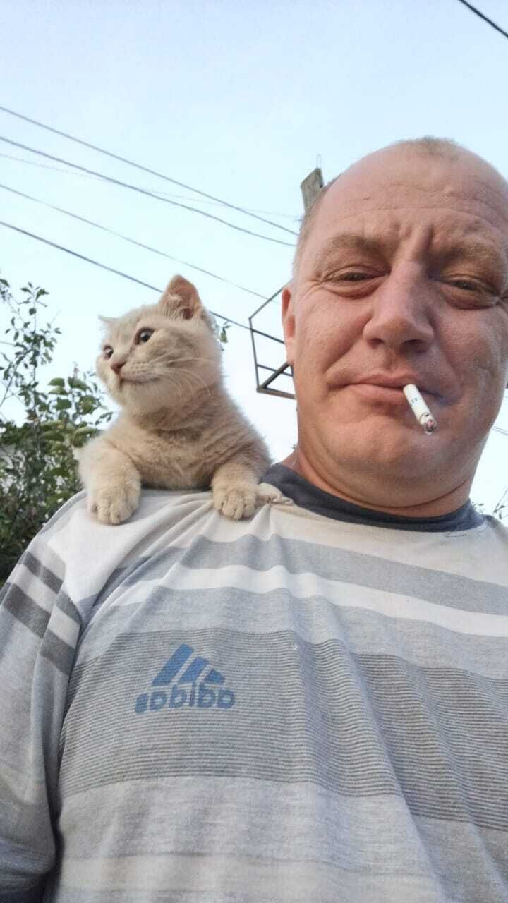 ���� 54782598 ������� �����, 35 ���, ���� ���������� � ��������