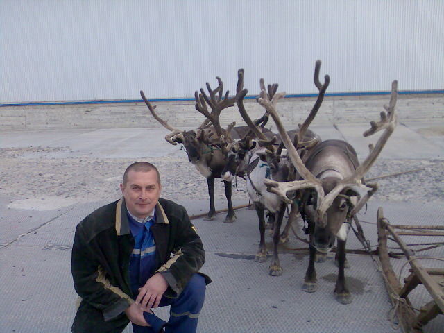 ���������� ������, ���� ������� ����, 53 ����, ������������ ��� ������