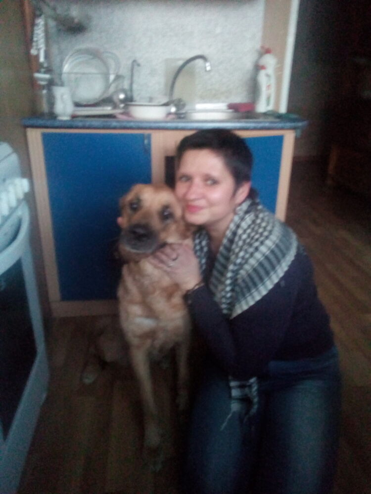  12146018  , 52 ,    -