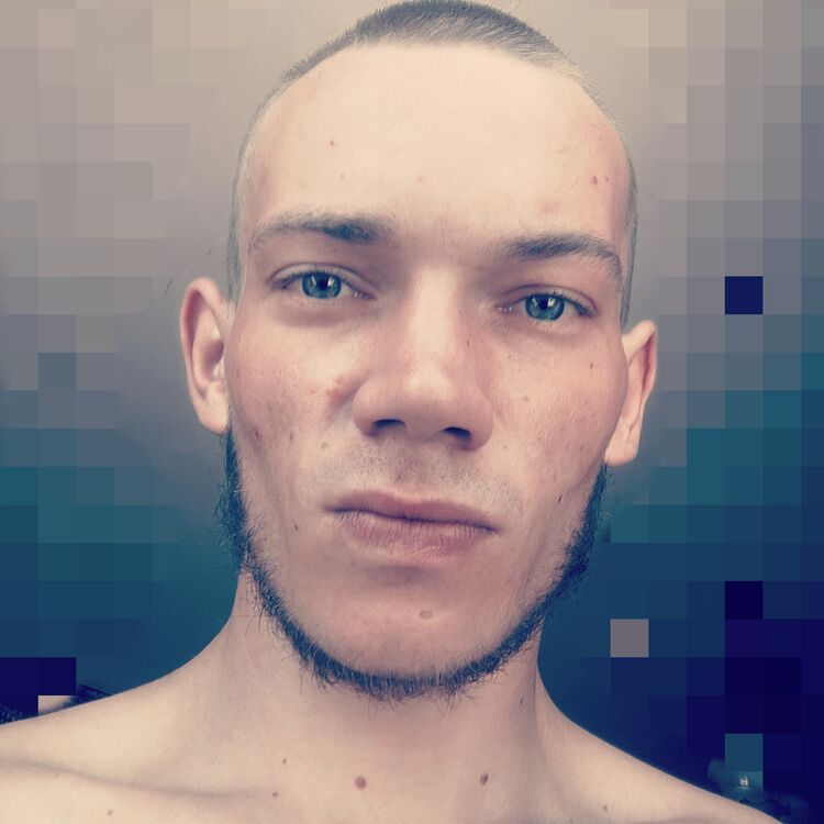  41375668  , 28 ,    