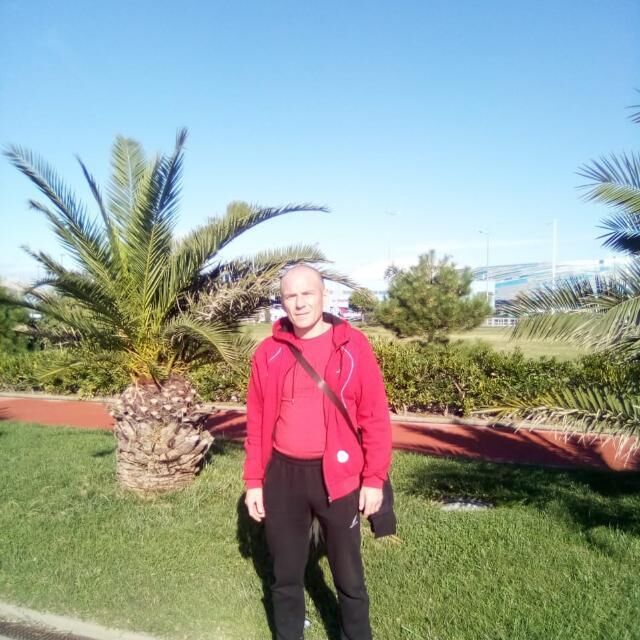 ���� 56041378 ������� ����, 43 ����, ���� ���������� � ������