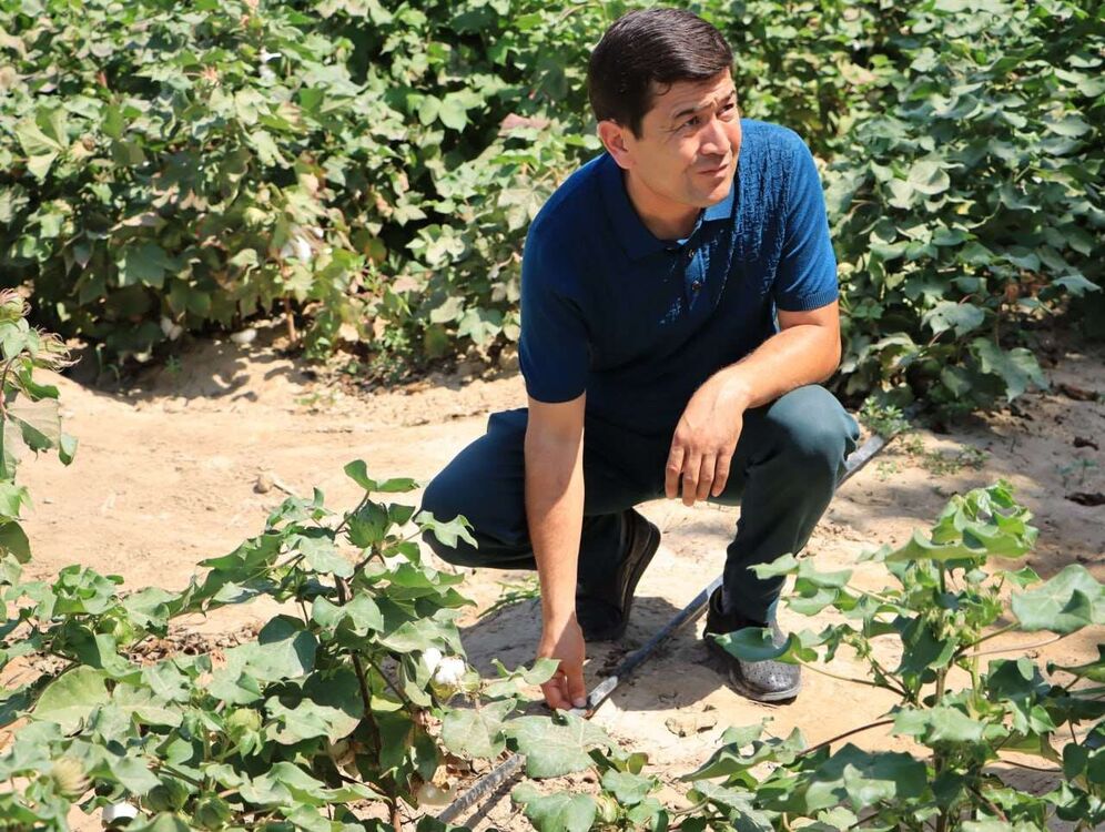 ���� 54960598 ������� ��������, 35 ���, ���� ���������� � ���������