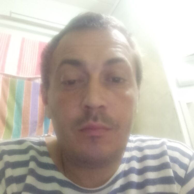 ���� 45188208 ������� ������, 40 ���, ���� ���������� � ������