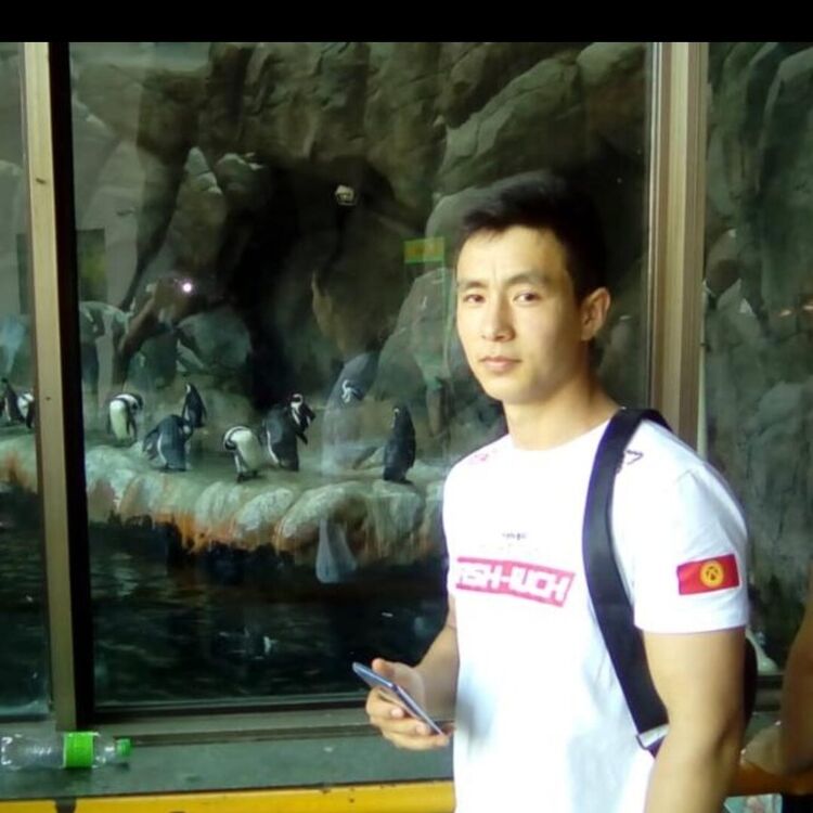 ���� 24513248 ������� �����, 31 ���, ���� ���������� � �������