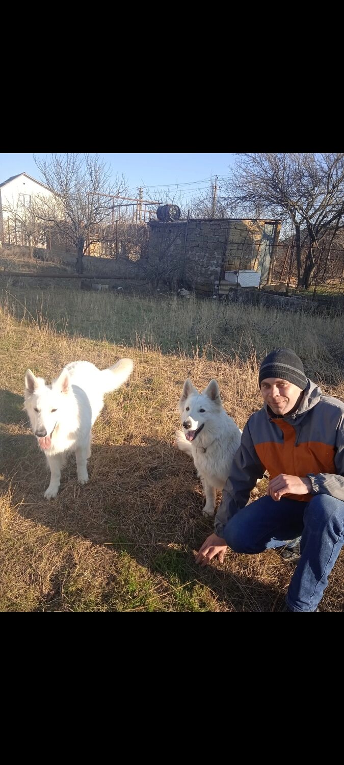 ���������� �����������, ���� ������� Edgar, 30 ���, ������������ ��� ������, ����� � ���������