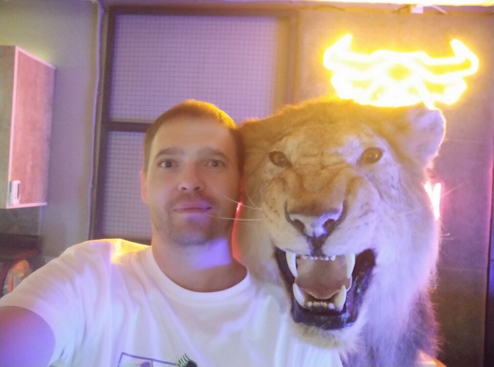 ���� 33596368 ������� ��������, 40 ���, ���� ���������� � ��������