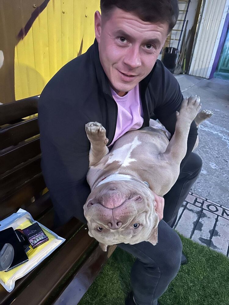 ���������� ���������, ���� ������� ������, 38 ���, ������������ ��� ����� � ���������, c�������� ���������