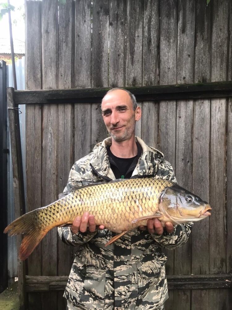  --,   , 48 ,   ,   