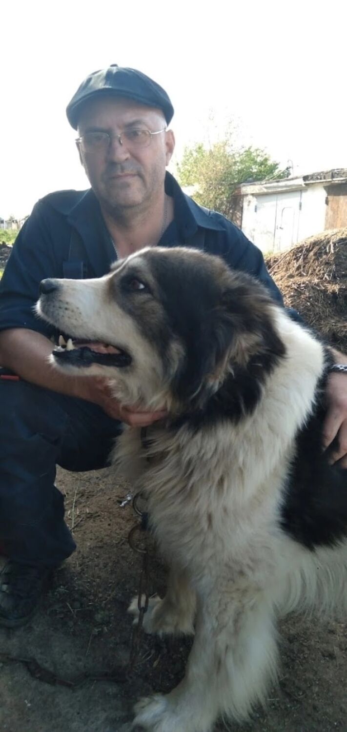 ���������� ������������, ���� ������� Ed, 50 ���, ������������ ��� ������, ����� � ���������