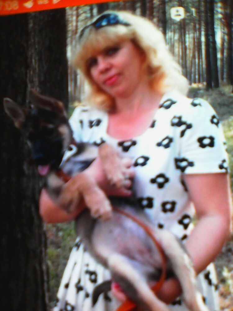  ,   , 52 ,   ,   