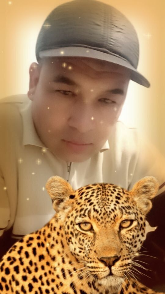  33301908  , 50 ,    