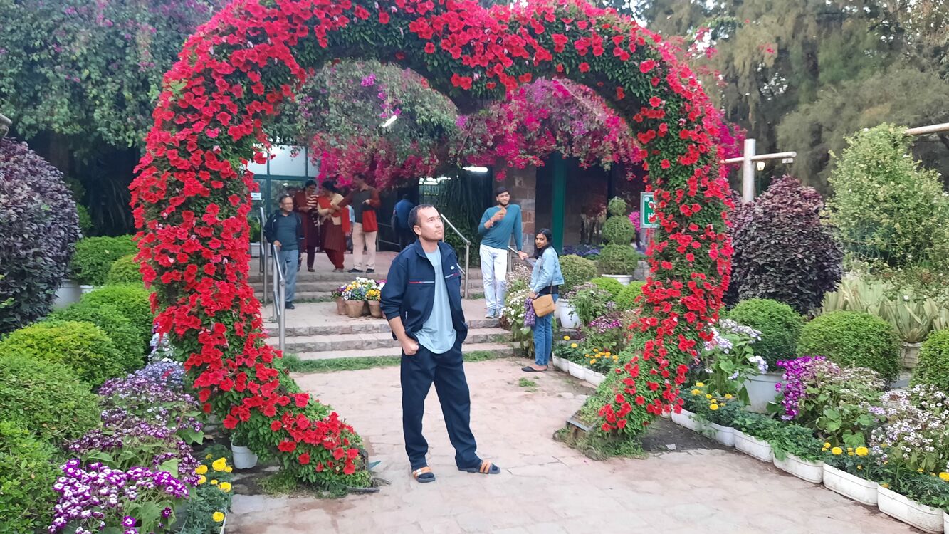 ���������� �����-���������, ���� ������� ����, 30 ���, ������������ ��� ������, ����� � ���������, c�������� ���������