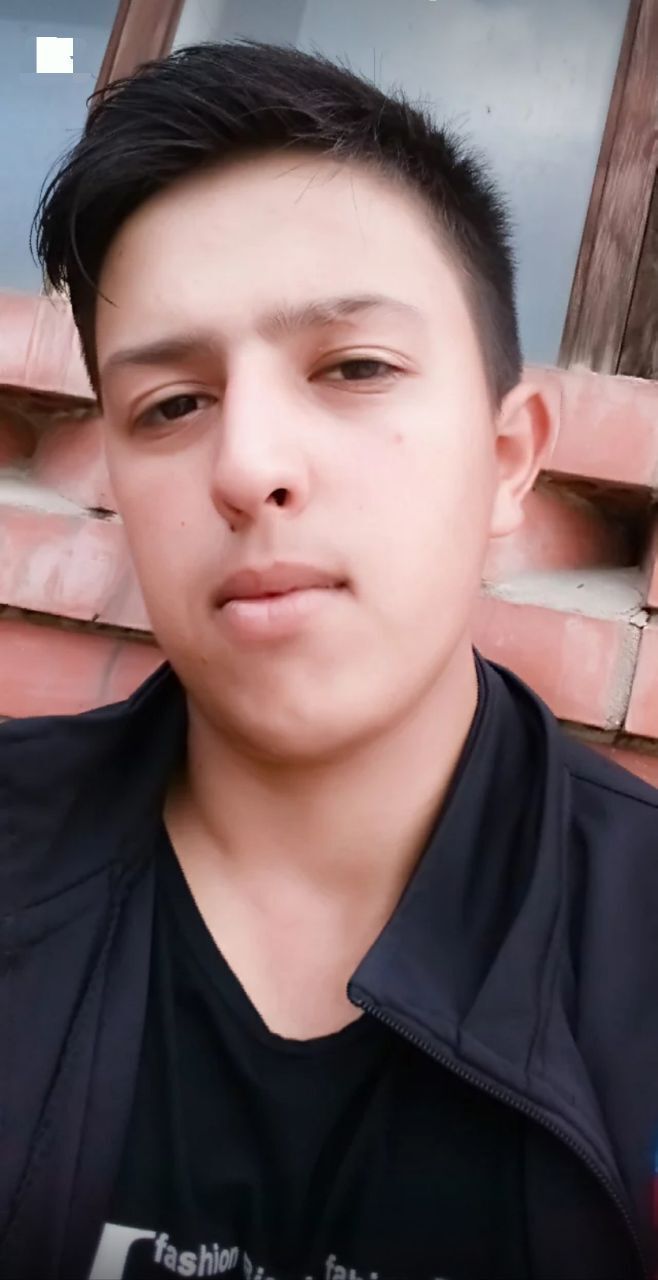  31007538  , 24 ,    