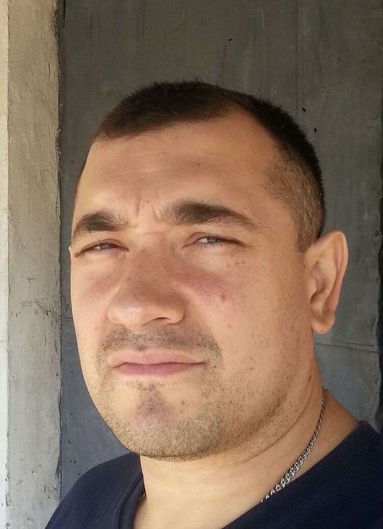 ���������� ������, ���� ������� Alba, 40 ���, ������������ ��� ������, ���������