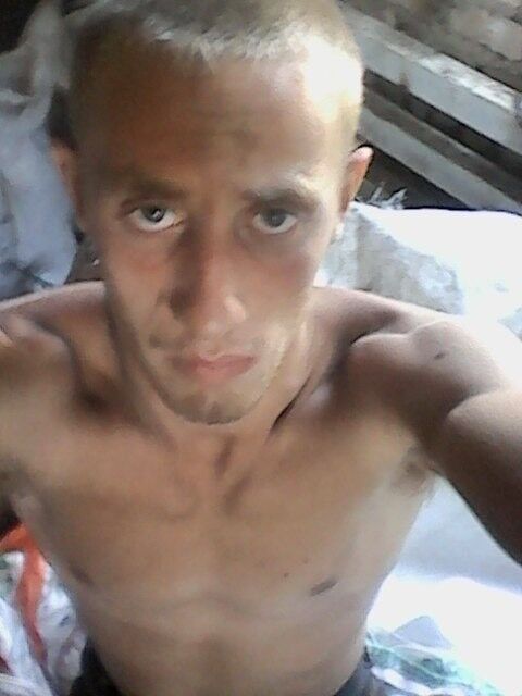  17728008  , 28 ,    