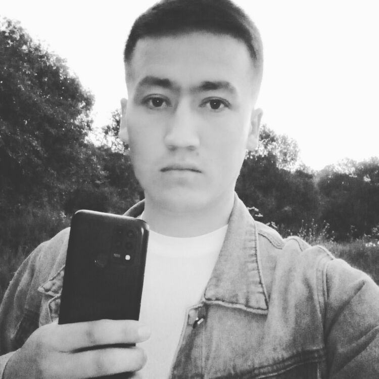  36483848  , 28 ,    