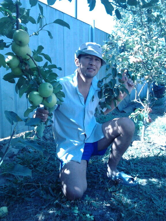 ���� 54145568 ������� �����, 33 ����, ���� ���������� � ����-�����