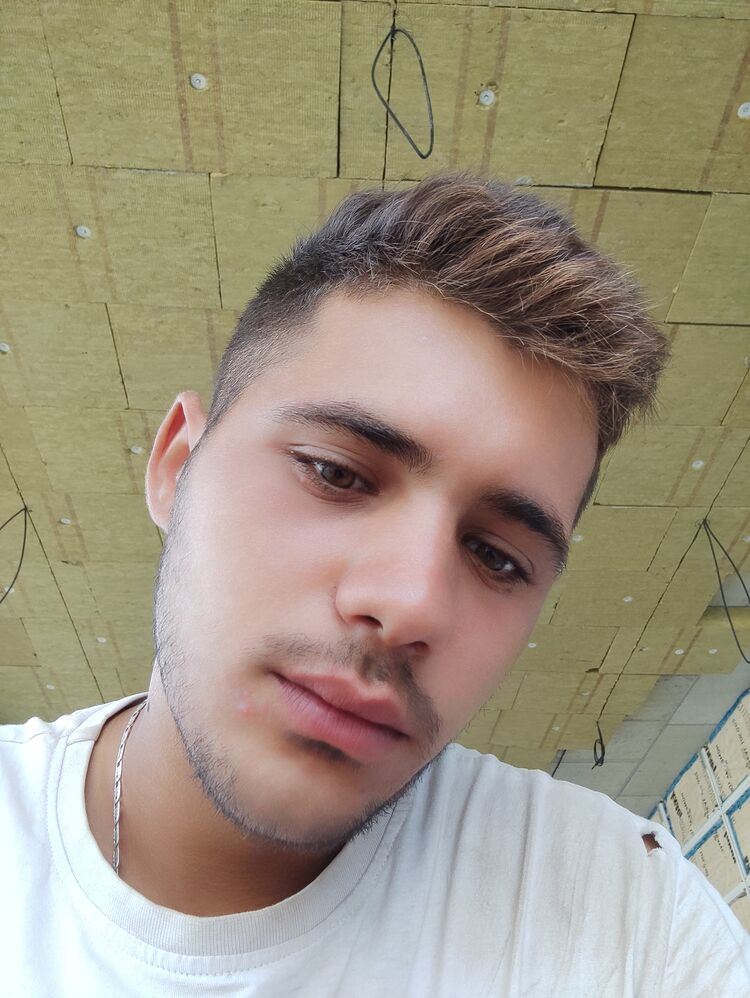 ���� 26238848 ������� Ludi, 50 ���, ���� ���������� � ������