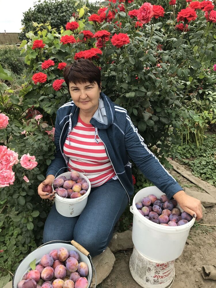  ,   , 57 ,   ,   