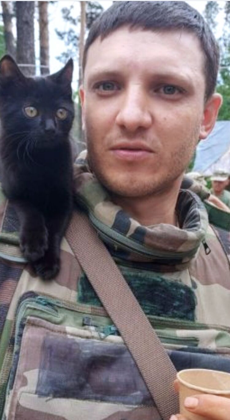 ���������� ����, ���� ������� ����, 33 ����, ������������ ��� ����� � ���������, c�������� ���������