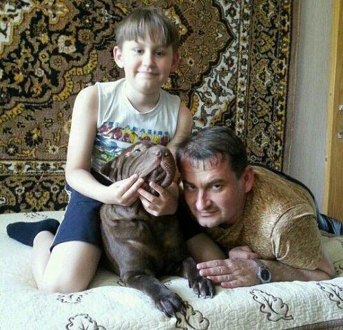  ,   , 51 ,   