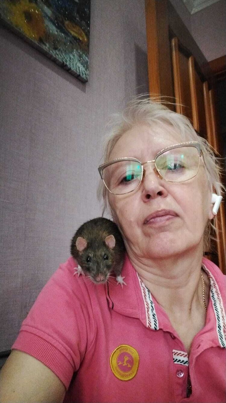  ,   , 59 ,     , c , 