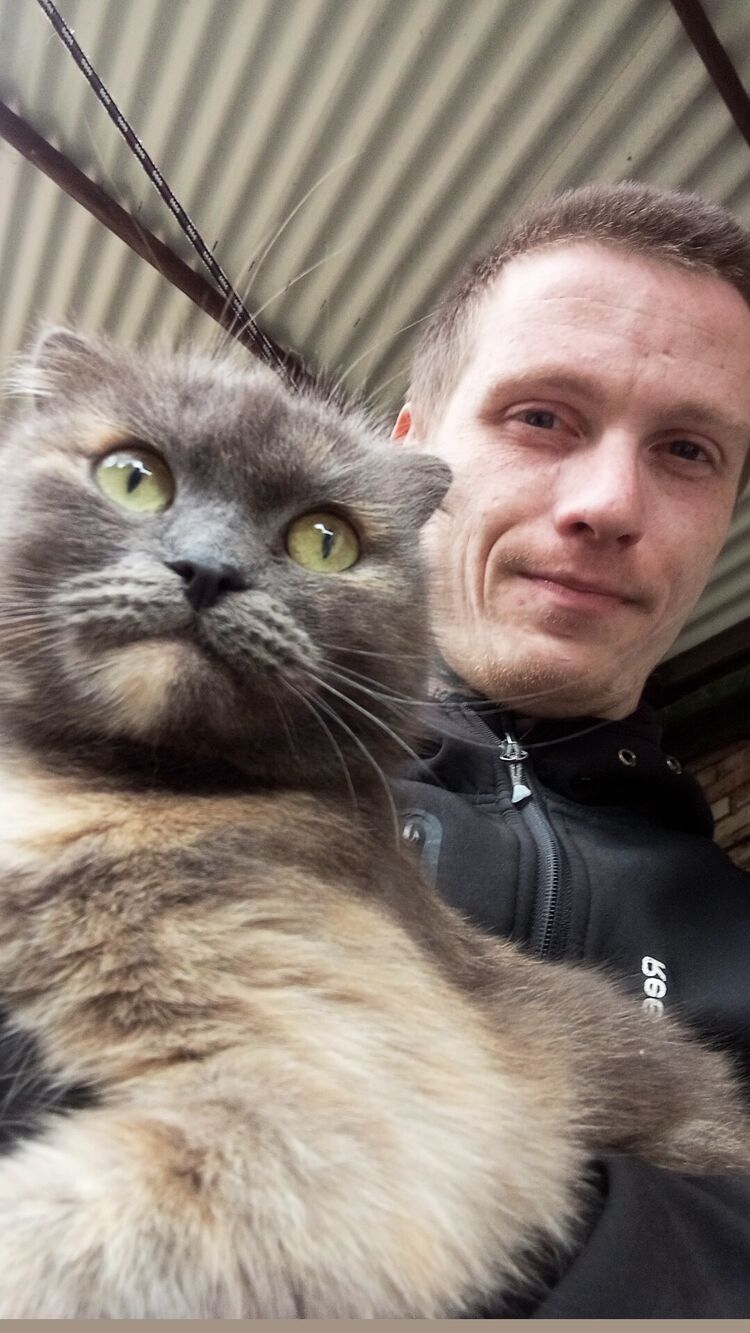 ���� 56003938 ������� ����, 29 ���, ���� ���������� � �������