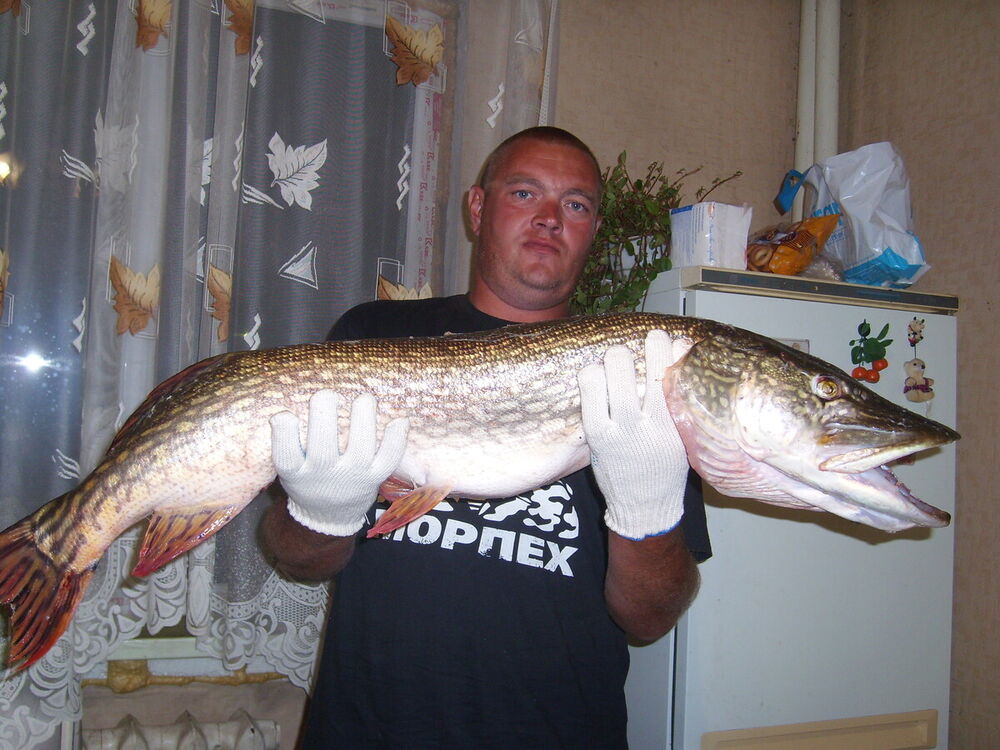 ���������� ������, ���� ������� �����, 49 ���, ������������ ��� ������, ����� � ���������, c�������� ���������