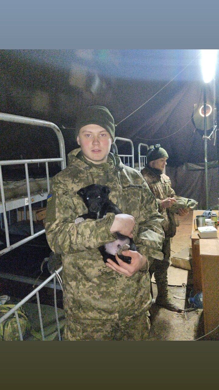 ���������� ����, ���� ����� ����, 22 ����, ������������ ��� ������, ����� � ���������, ���������