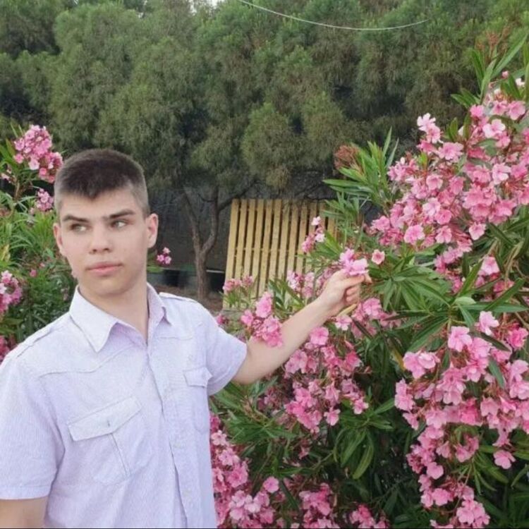 ���� 56019018 ������� ������, 26 ���, ���� ���������� � ��������