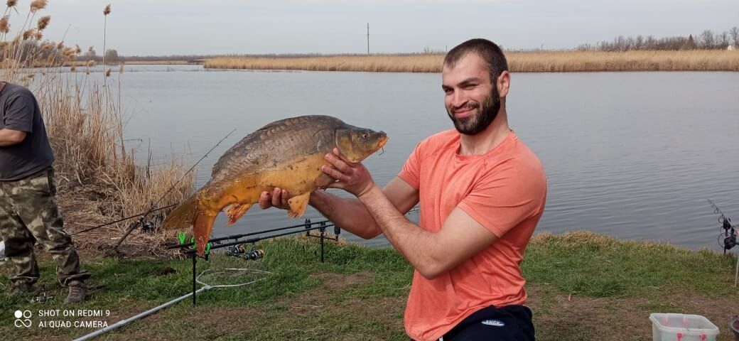 ���� 50518638 ������� �����, 35 ���, ���� ���������� � ����������