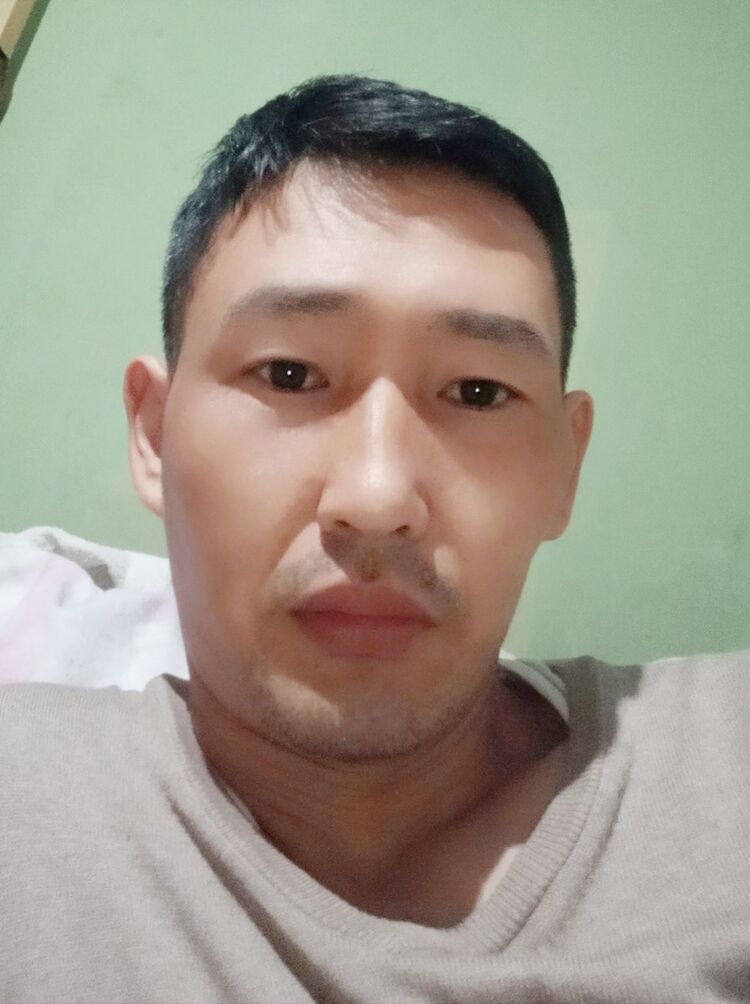  17937308  , 33 ,    -