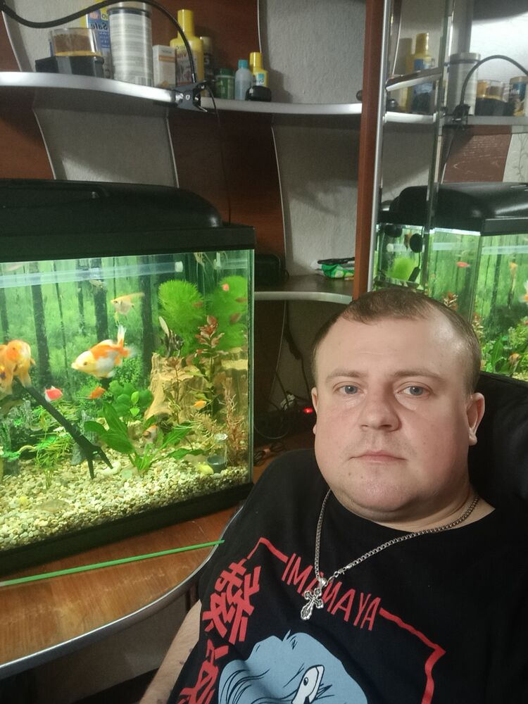 ���� 55982878 ������� ������, 32 ����, ���� ���������� � ��������������-����������