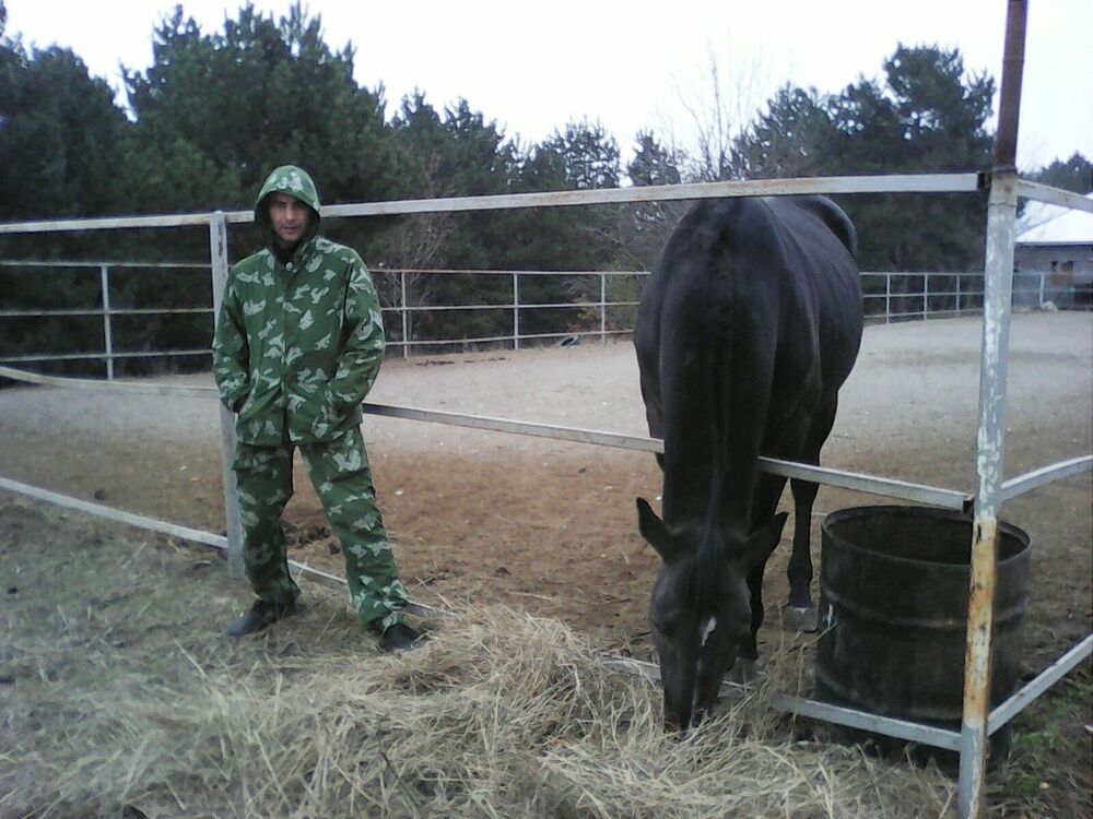 ���������� ����������, ���� ������� ������, 38 ���, ������������ ��� ������, ����� � ���������, c�������� ���������