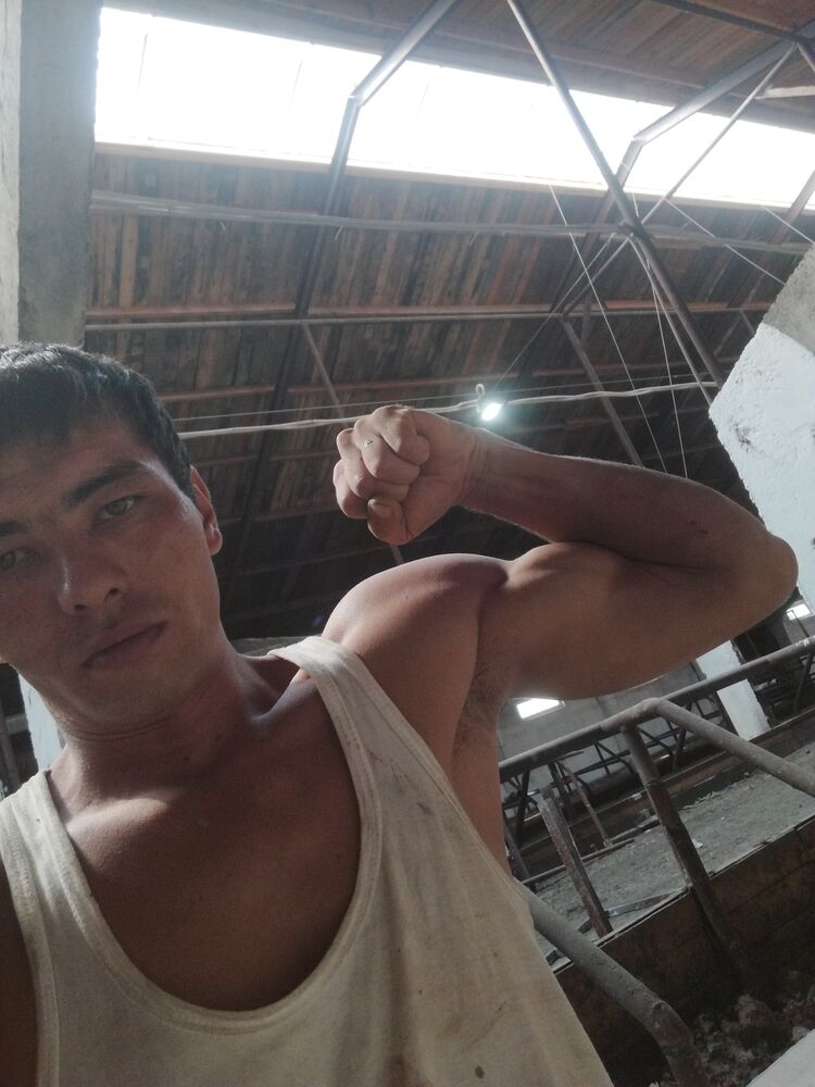 ���������� ��������, ���� ������� ������, 33 ����, ������������ ��� ������, ����� � ���������